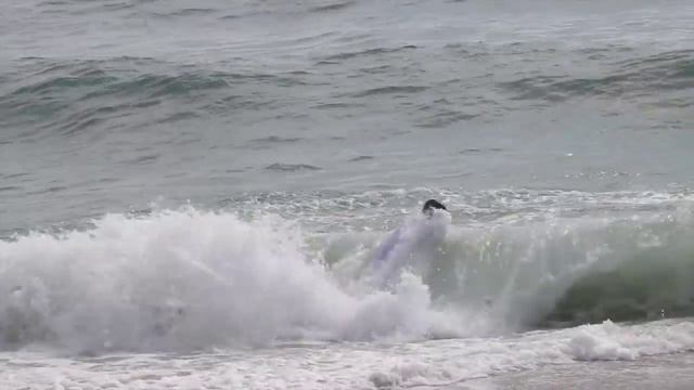 Palm Beach Skim: I suck more смотреть онлайн