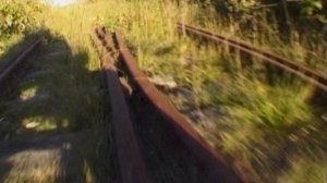 Тайна аномальной зоны в посёлке Лосиный. Фильм