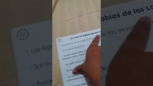 25 de agosto de 2019 смотреть онлайн