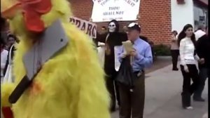 Animal Rights Protest against Kapparot chicken killing ritual at Ohel Moshe in Los Angeles