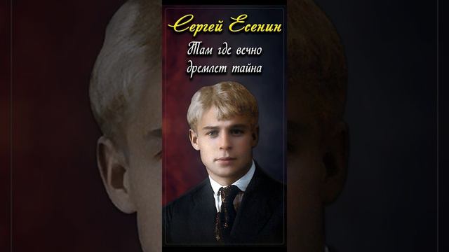 Там где вечно дремлет тайна - Сергей Есенин (читает Александр Герасимчук) #shorts