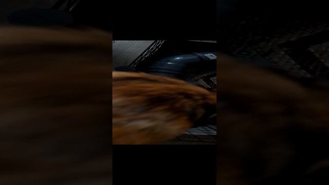 2 часть
