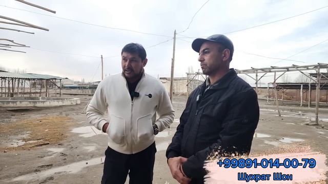 ЭРКИНЖОН ТУРДИМОВ ТАЙИНЛАГАН ВАКИЛА АЁЛ КАМАЛДИ? САБАБИ НИМАДА? смотреть онлайн