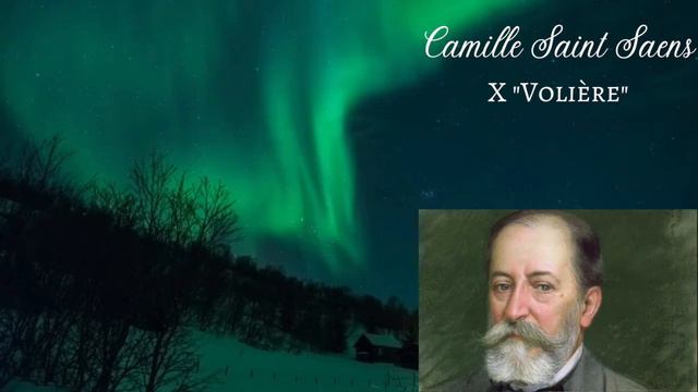 X Camille Saint Saens - Volière / 432hz смотреть онлайн