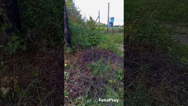 Зачистка перед домом