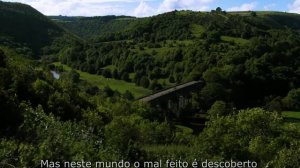 RODRIGO FLORES SHOW- JOÃO DE BARRO ( O pedreiro da floresta)