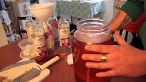 How to Make Kombucha Tea - with Nadine Michele Preston and James Simpson