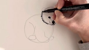 BABY ANIMALS - How to draw a POLAR BEAR CUB