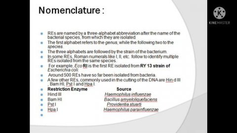 principle and processes of BIOTECHNOLOGY part 3 #neet #cbse #class12 #biology