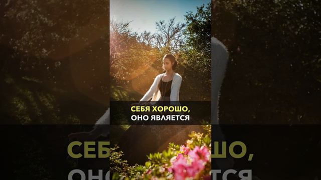 Вишен Лакьяни о Коэффициенте Позитивности: поведение команд☀️#позитив #позитивноемышление #наука смотреть онлайн