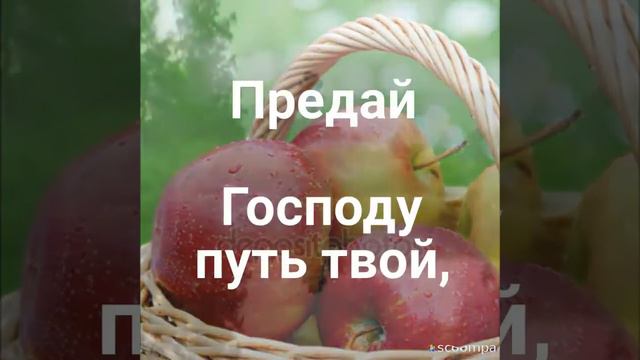 "УТЕШАЙСЯ ГОСПОДОМ, И ОН ИСПОЛНИТ ЖЕЛАНИЯ СЕРДЦА ТВОЕГО" (ПСАЛОМ 36)