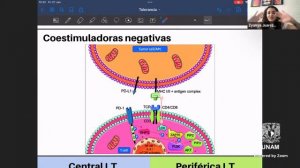 InmunoRepasos 2023 Bloque 2 Sesión 6