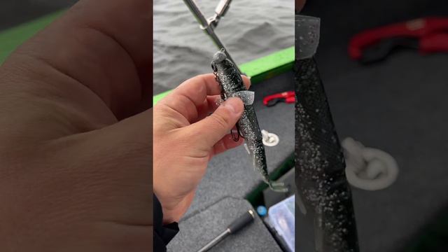 Приманка #1 на ЩУКУ‼️ #shorts #лодка #fishing #рыбалка #boating  #boatlife #boat #топ #pike #щука