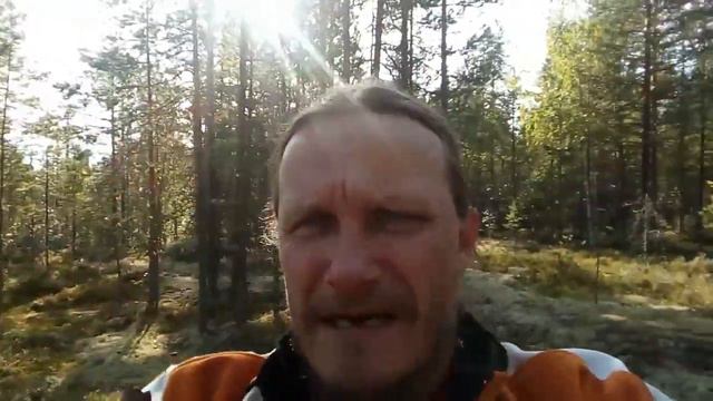 Metsänpoika tahdon olla. Metsämiehen laulu смотреть онлайн