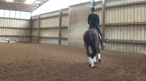 Clair2 Suzanne May dressage clinic