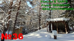 №36. На участке в тайге строю ДОМ-ЗЕМЛЯНКУ. Внутренние работы. ЭЛЕКТРИКА В ДОМЕ.