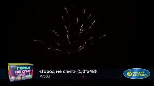 Город не спит Р7503