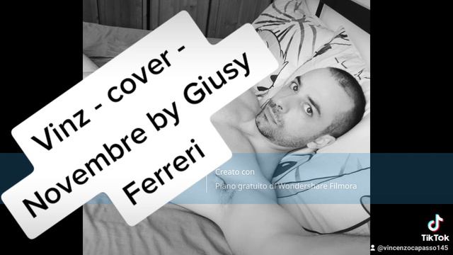 Vinz - cover - Novembre by Giusy Ferreri смотреть онлайн