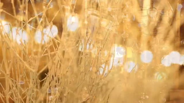 Christmas Has Arrived At The Richmond Shop смотреть онлайн