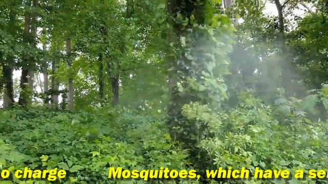 zika virus Pittsboro смотреть онлайн