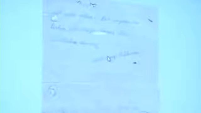 Hakan Kaynar: Kim "Artis" Olmak İster! смотреть онлайн