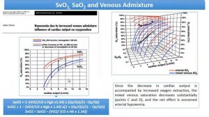 7 SvO2 /ScvO2, PCO2 gap Massimo Antonelli (H_dyn2017)