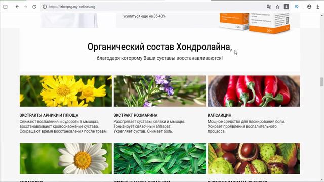 Hondroline - Remedy for joint pain - Georgia, MD, Russia смотреть онлайн