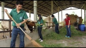 Video introduction to Naresuan University