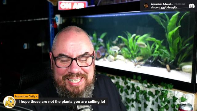 Friday Night Live! - Fishy Business #154 смотреть онлайн