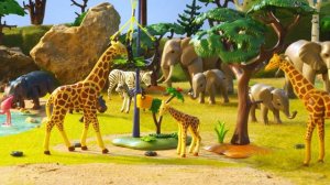 Ask ROBert: Are Meerkats predators? | PLAYMOBIL