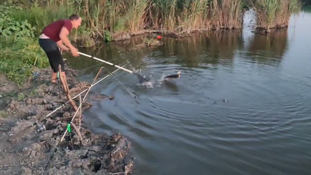 рыбалка на лобика Кущёвской район
