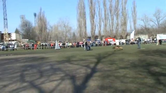 KIMON LUGANSK LEND Кубок ЮФО-2012 смотреть онлайн