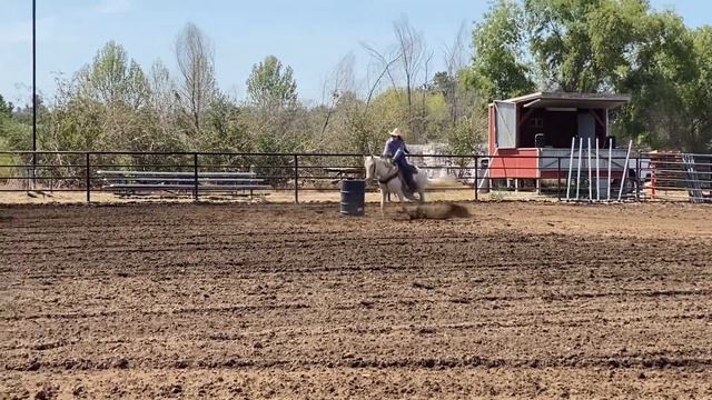 Morgan and Babe Robertson’s 5 2022 barrels смотреть онлайн