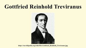 Gottfried Reinhold Treviranus