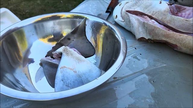 Leopard shark fishing at Stinson Beach Catch and Cook Shark Burger and Salt  Pepper Shark!