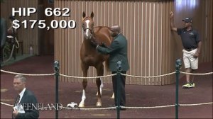 Solomini as a Keeneland September Yearling