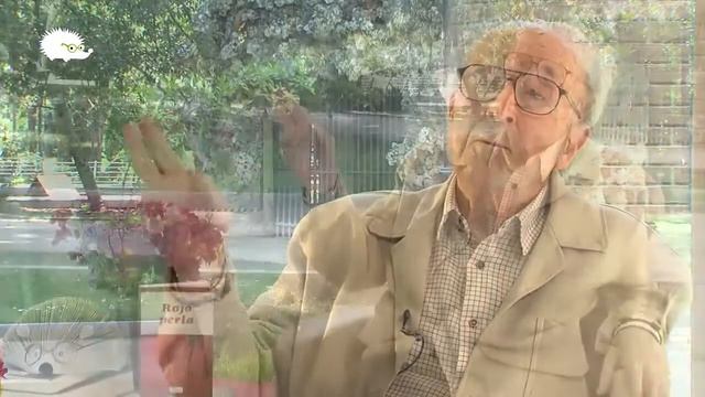 ''Rojo perla", la búsqueda de lo imposible de Jesús Pardo смотреть онлайн