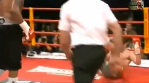 David Price vs Tony Thompson ( The KO )     23 /  2 / 2013