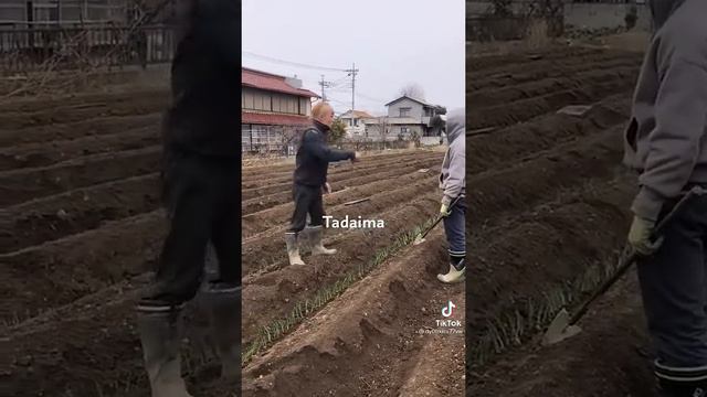 Orang jepang marah ke orang vietnam    Karna bahasanya kurang✌️ смотреть онлайн