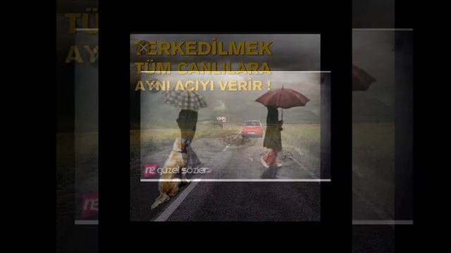 Gokhan Keser смотреть онлайн