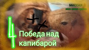 игрушка апокалипсис 4 серия (пабеда над капибарой)