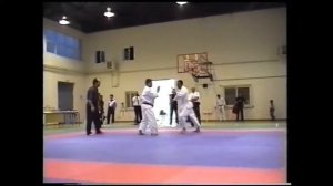 shinkyokushinkai polukastrou Kesidis Biatseslav