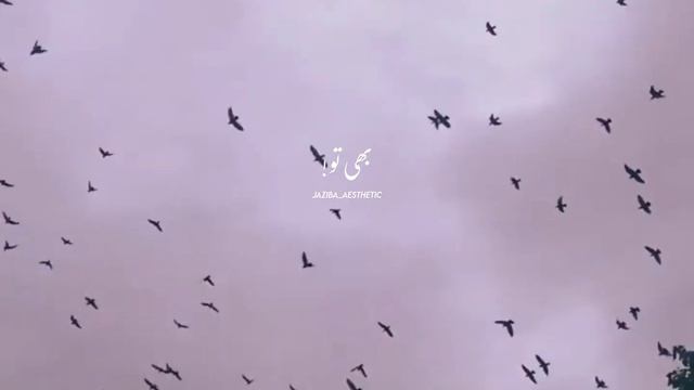 Daulat Shohrat | Slowed Song For WhatsApp Status | смотреть онлайн