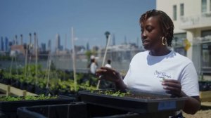 How This Aquaponics Farmer Is Reinventing Urban Agriculture