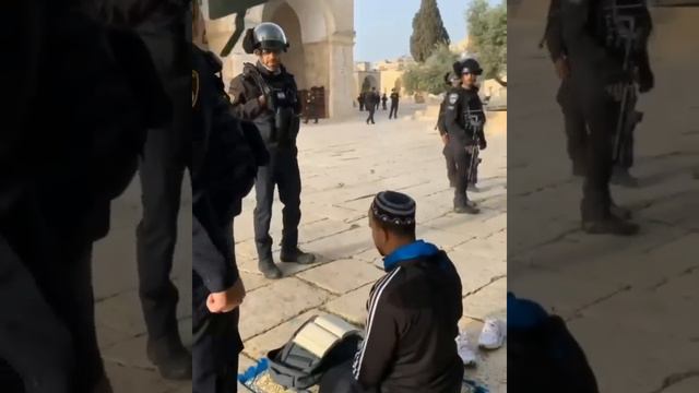 Brave Palesten Muslim Masjid-e-aqsa | Palestine |Baitul Muqaddas | Powerfull WhatsApp Status смотреть онлайн