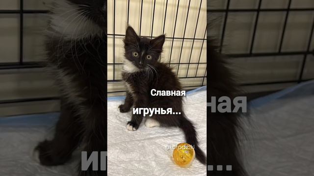 #спасибовсем_ядома ❤️ Читай закрепленный комментарий