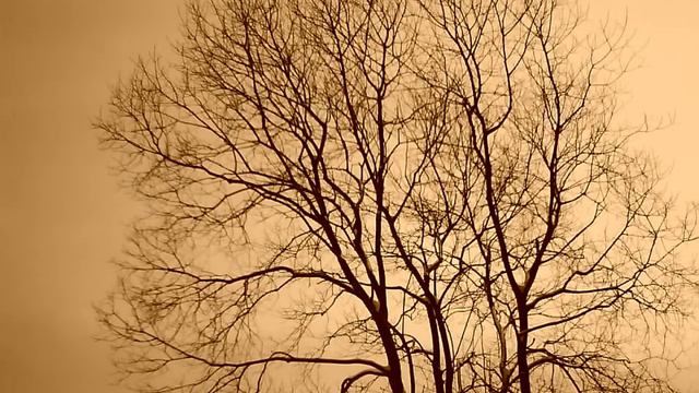 Pete Namlook - Picnic (winter park) смотреть онлайн