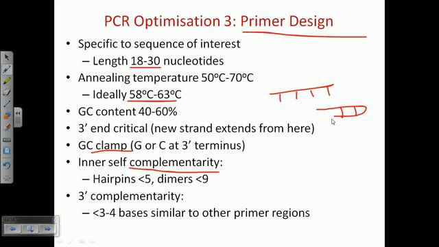 PCR optimization | PCR technique