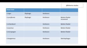 Lecture-1 Coldwater, Sport fisheries for jrf/srf/net/state fisheries  exam  and other fisheries exa