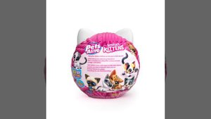 Pets Alive_Simitten Kittens_20220630 9541